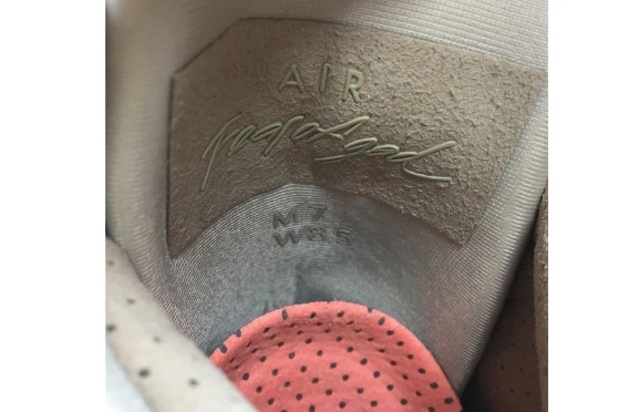 Fear AR4237-900 1 of  Oatmeal Air  God Nike 0329